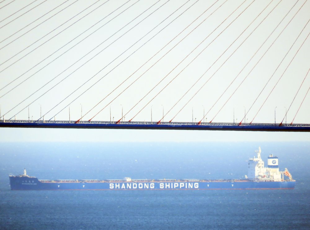 Shandong De Long