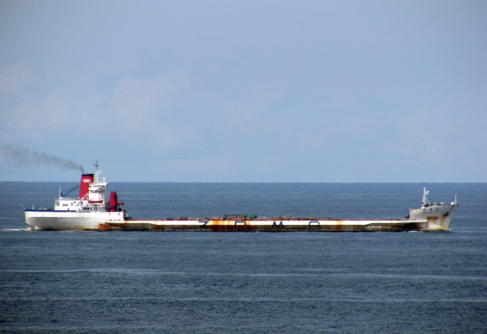 Zhen Hua 6