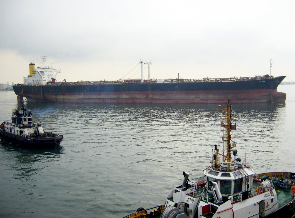 Sea Tiger
