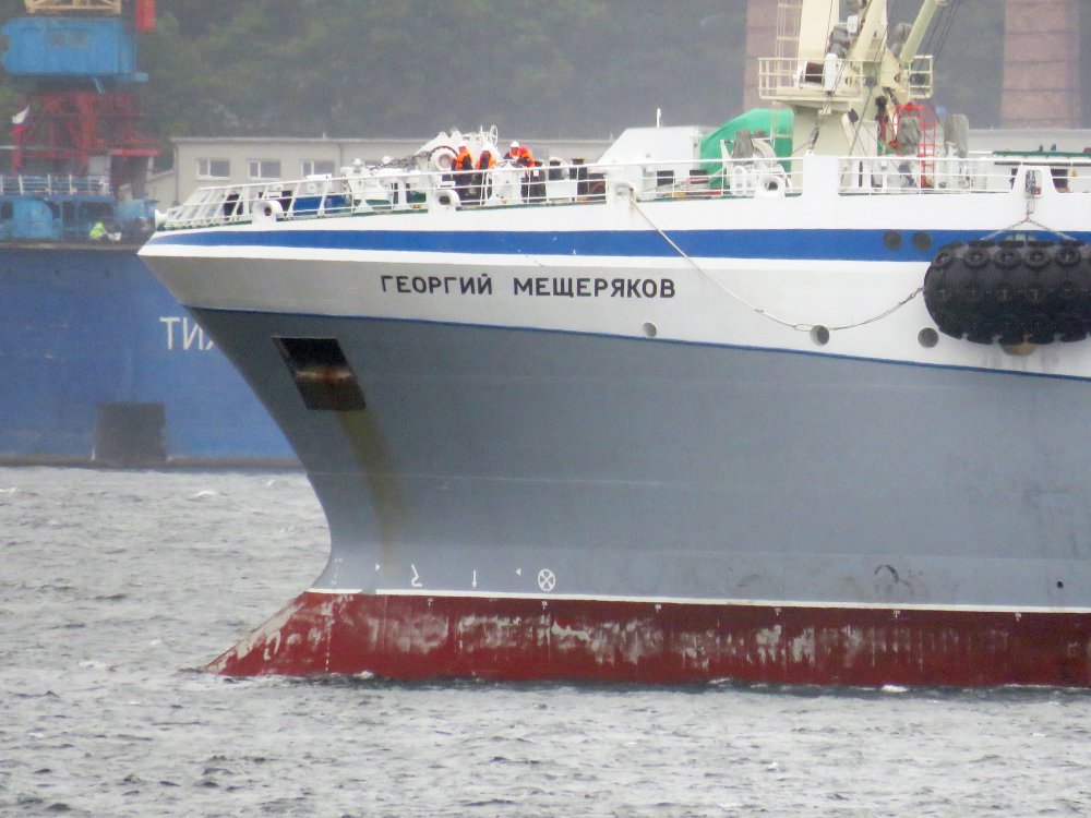 Grigoriy Meshcheryakov