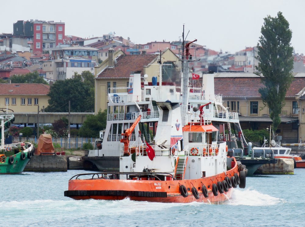 RM 2501, IMO 8107749, Call sign TC6373, Seagoing tugs, Photo #8 RM 2501