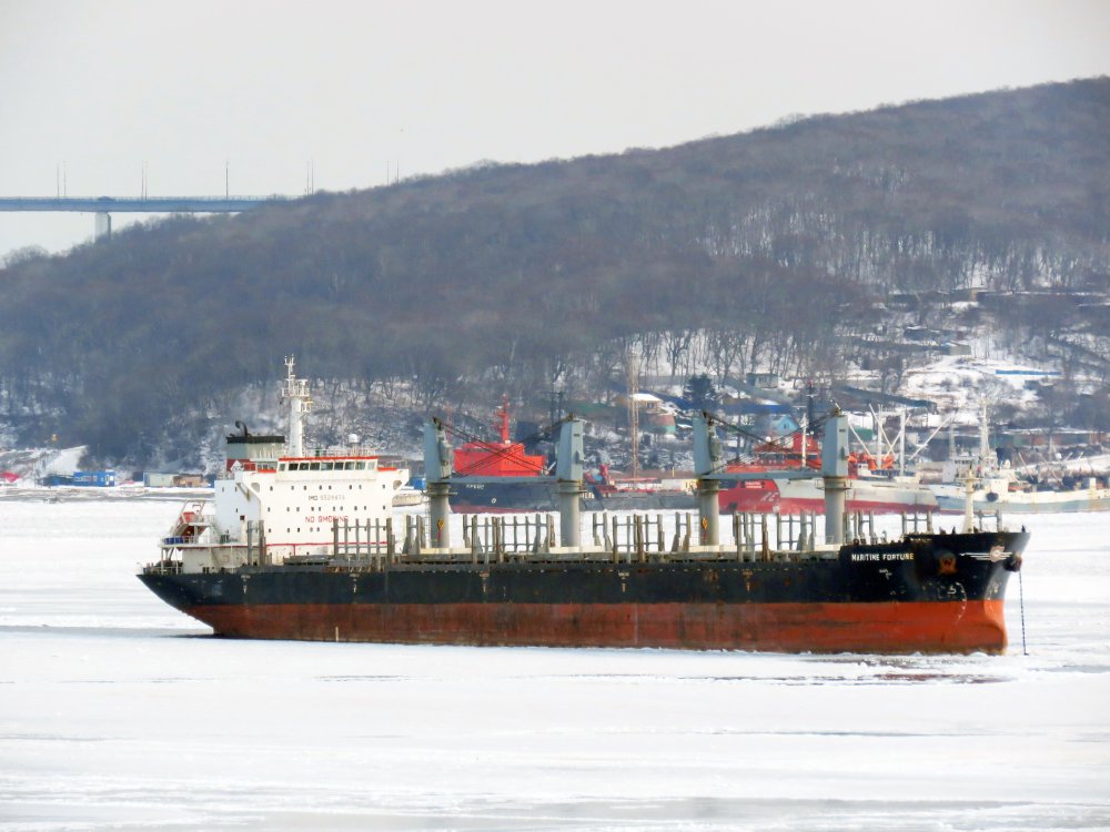 Maritime Fortune
