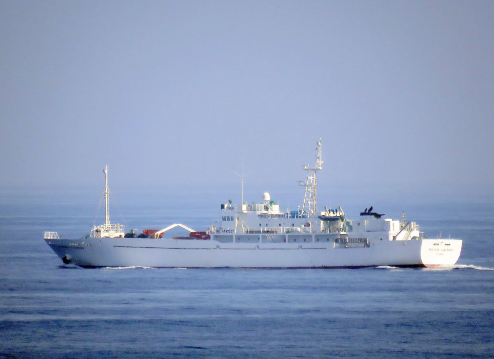 Princesa Guasimara