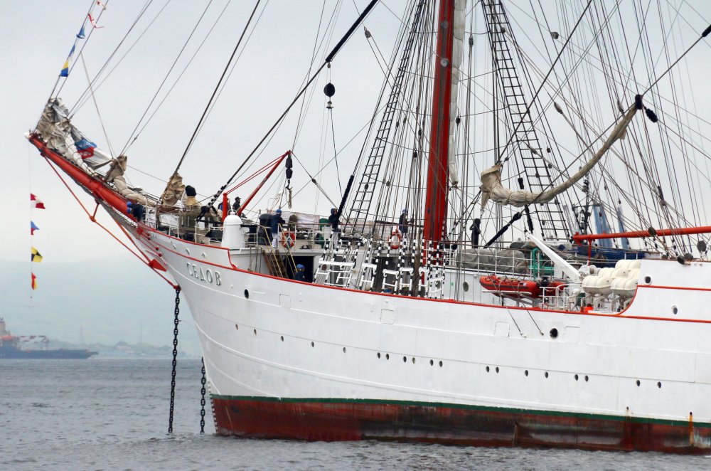 Sedov