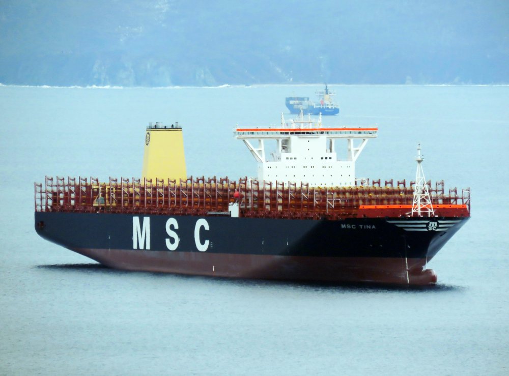 MSC Tina