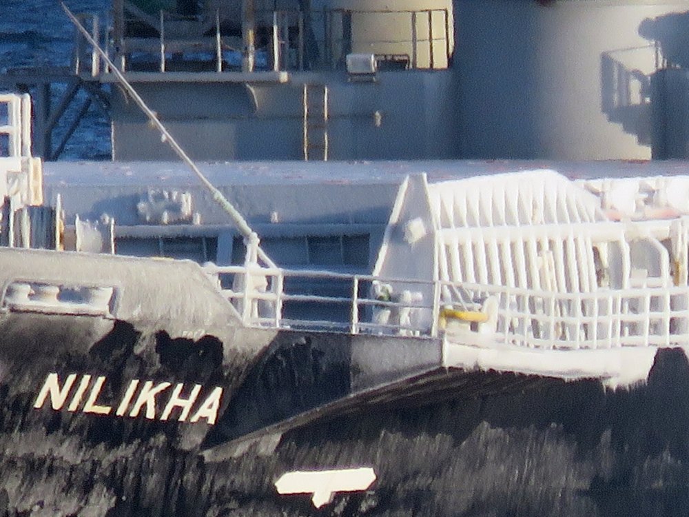 Nilikha