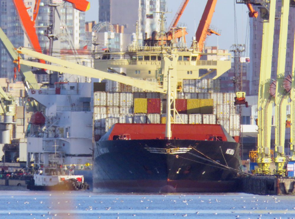 MSC Kayla