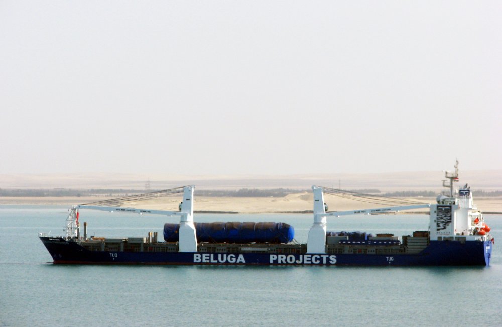 Beluga Fantastic