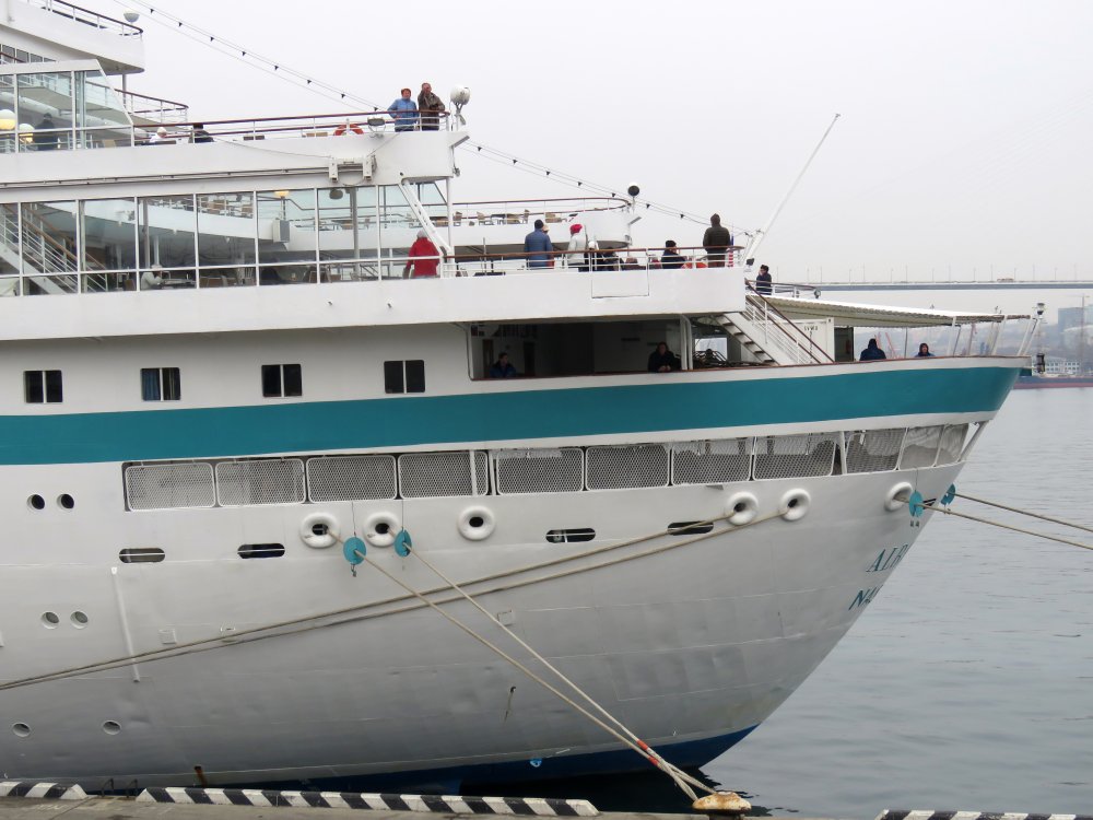 Albatros