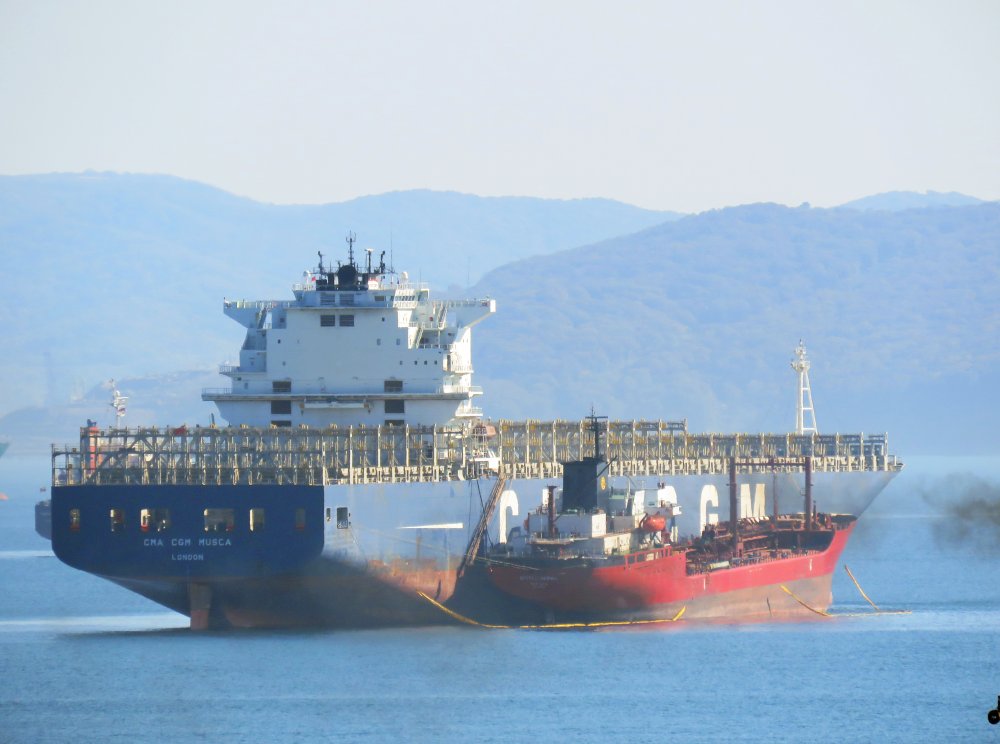 CMA CGM Musca