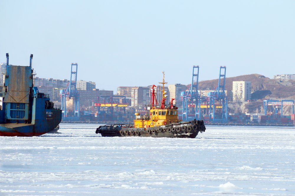Zvezdniy