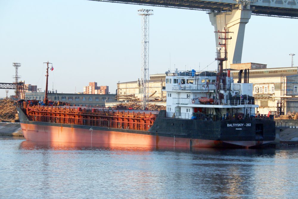 Baltiyskiy-202