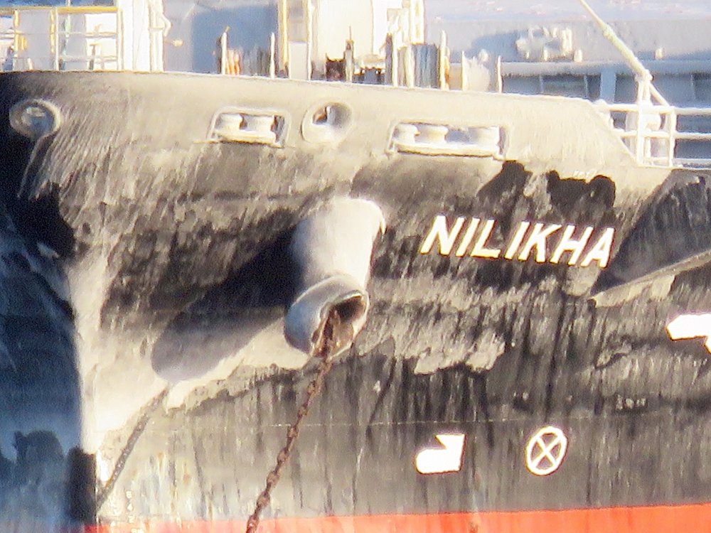 Nilikha