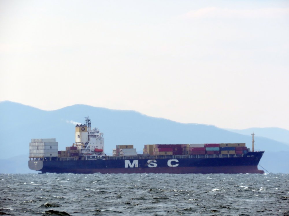 MSC Imma