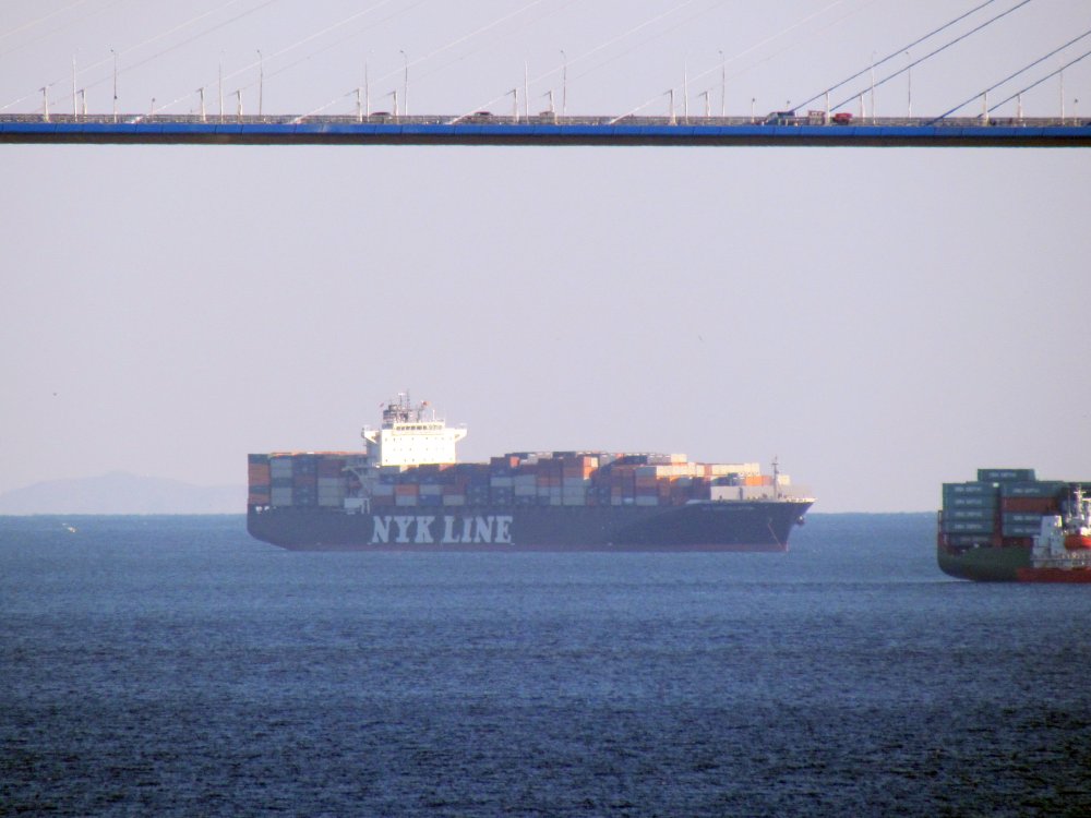 NYK Constellation
