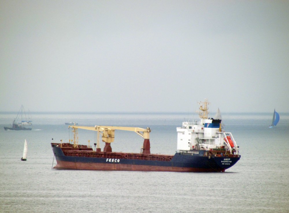 Amur