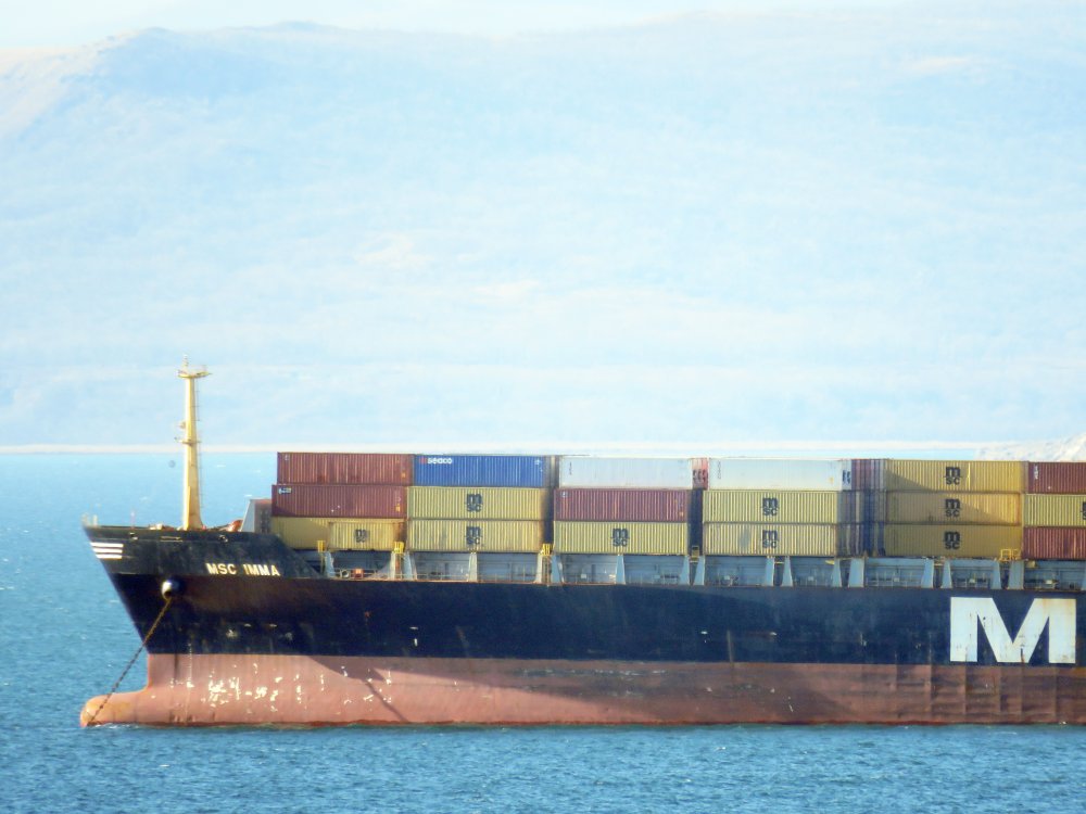 MSC Imma