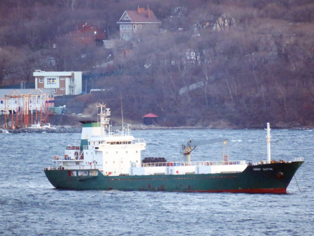 Amber Baltic