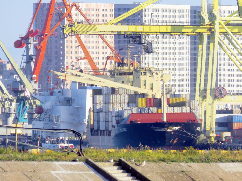 MSC Kayla