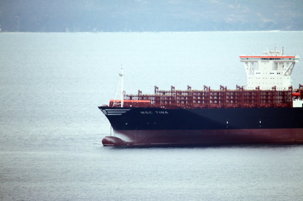 MSC Tina