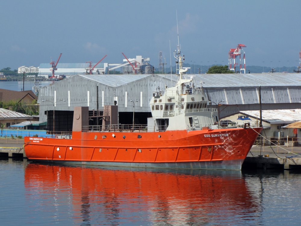 EGS Surveyor