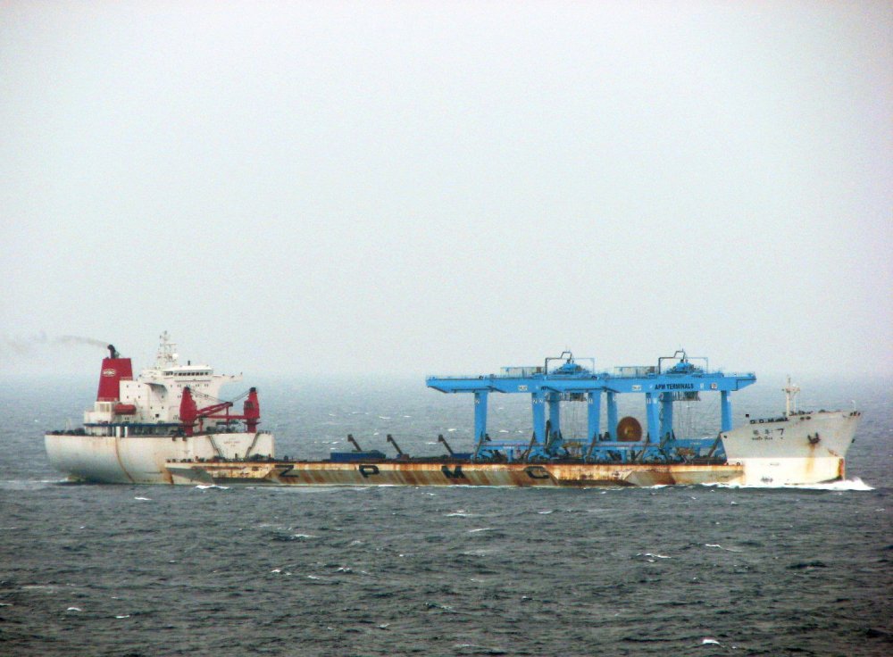 Zhen Hua 7