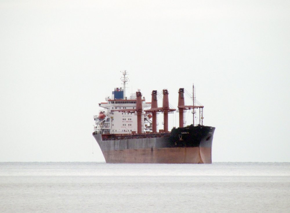 Carbon M