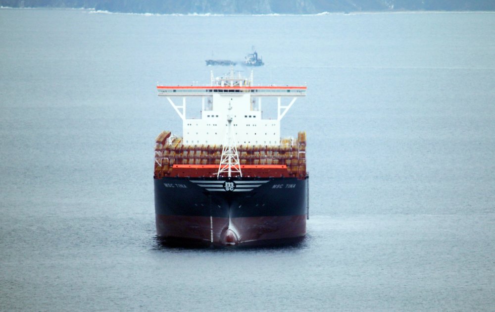 MSC Tina