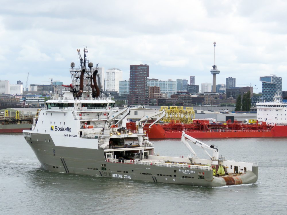 Boka Pegasus