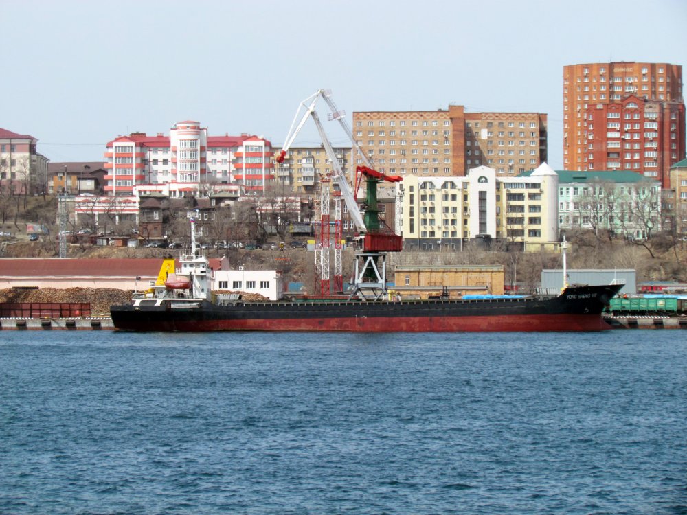 Yong Sheng VII