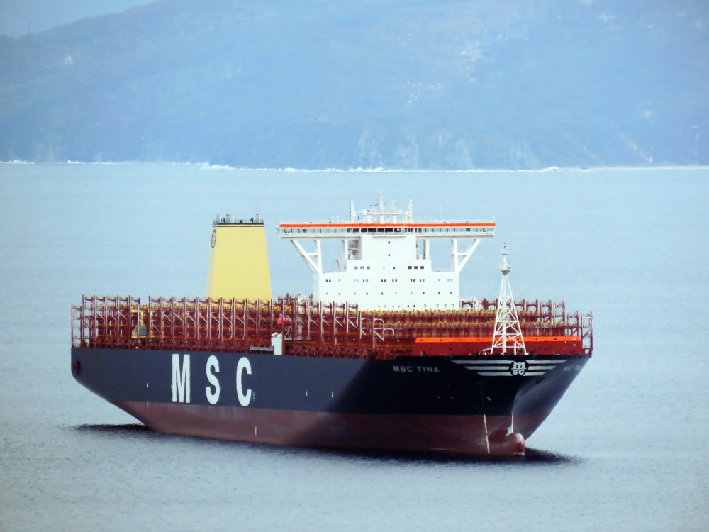 MSC Tina