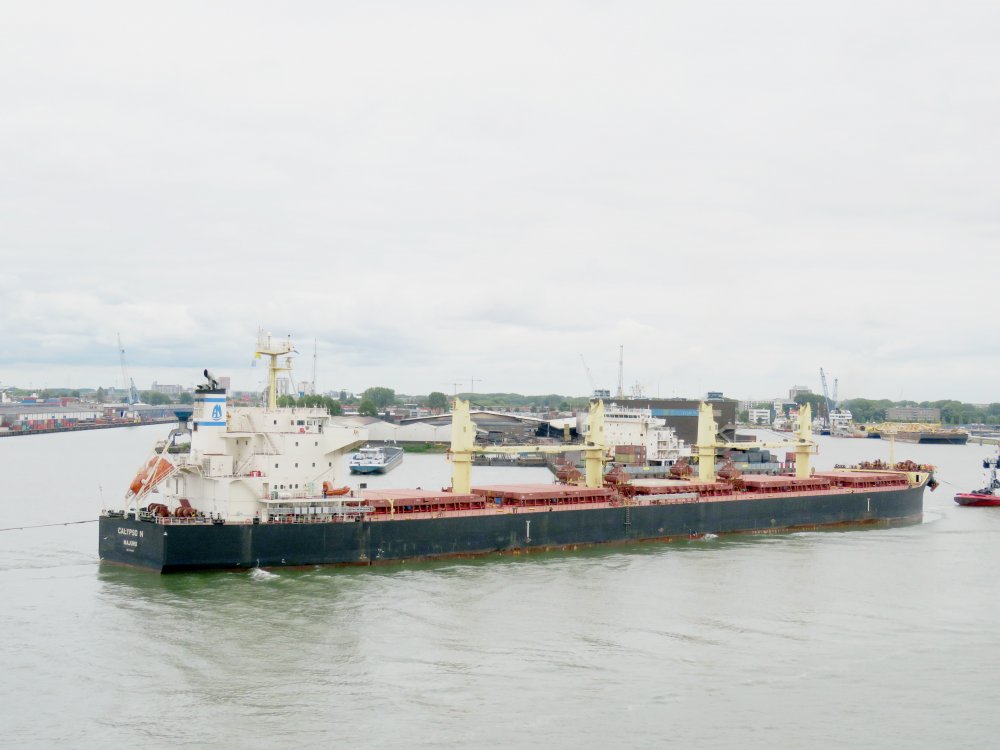 Calypso N