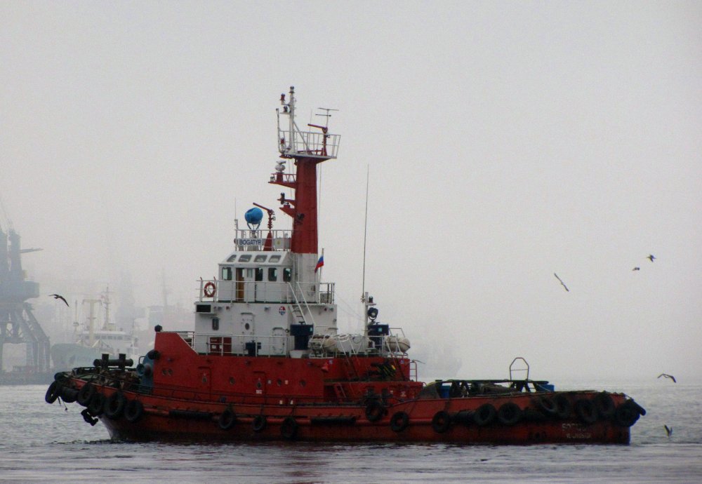 Bogatyr