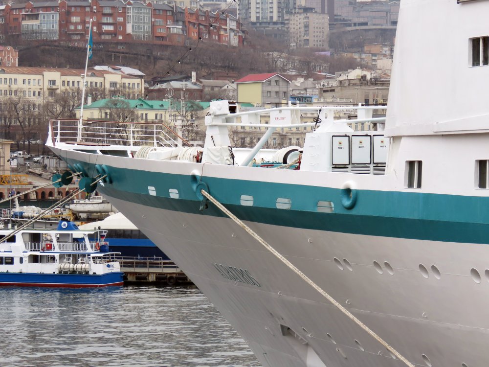 Albatros