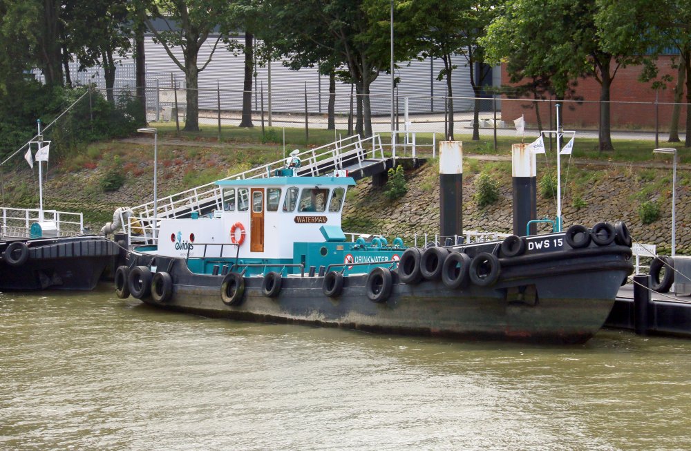 DWS 15