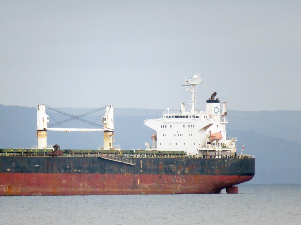 Densa Eagle