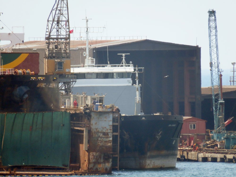Sea Leader