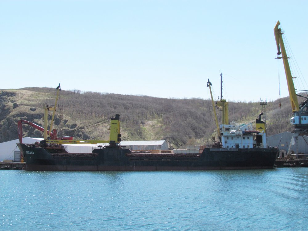 Palana