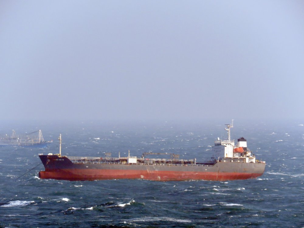 Hong Bo 18