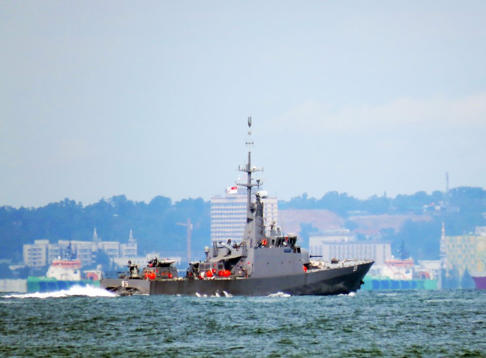 Brave RSS-95