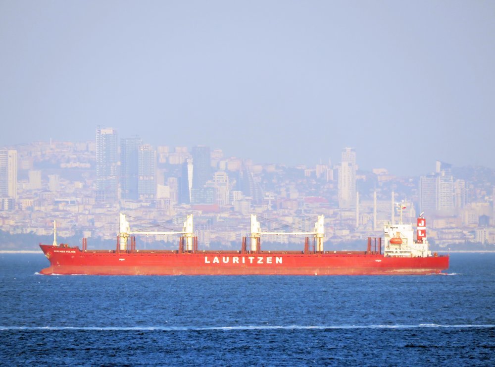 Hokkaido Bulker