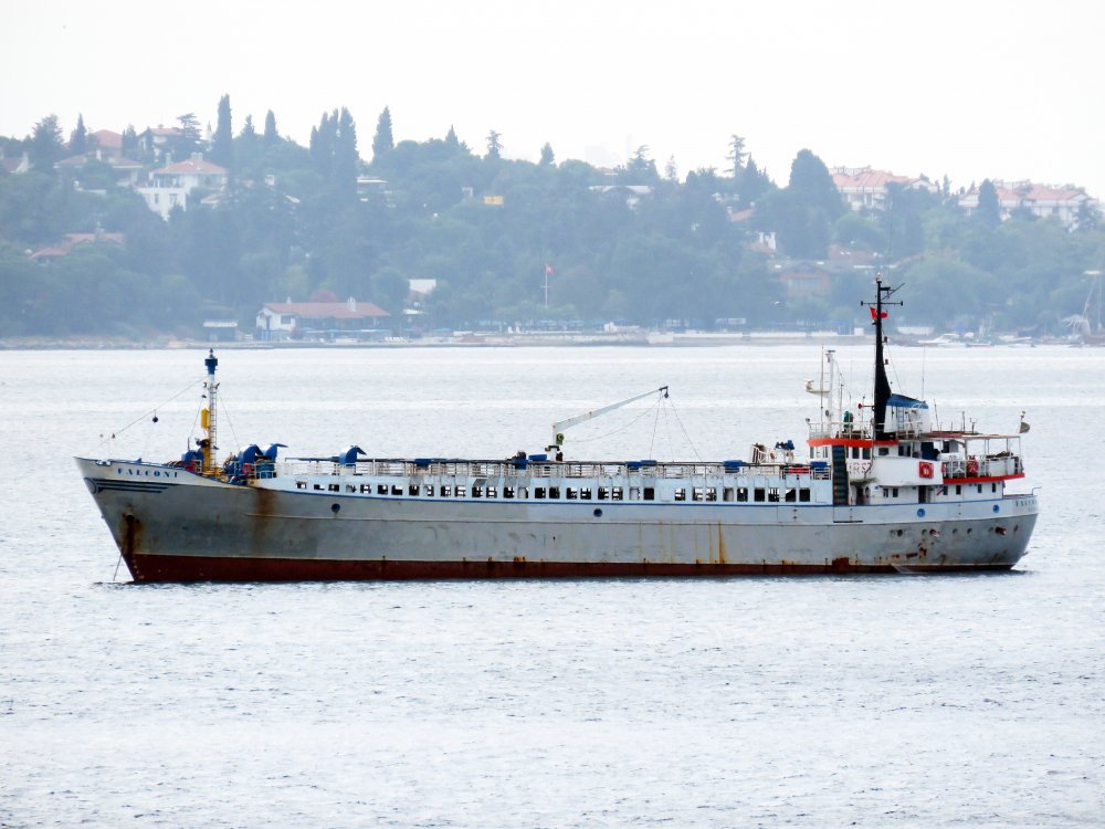 Falcon 1