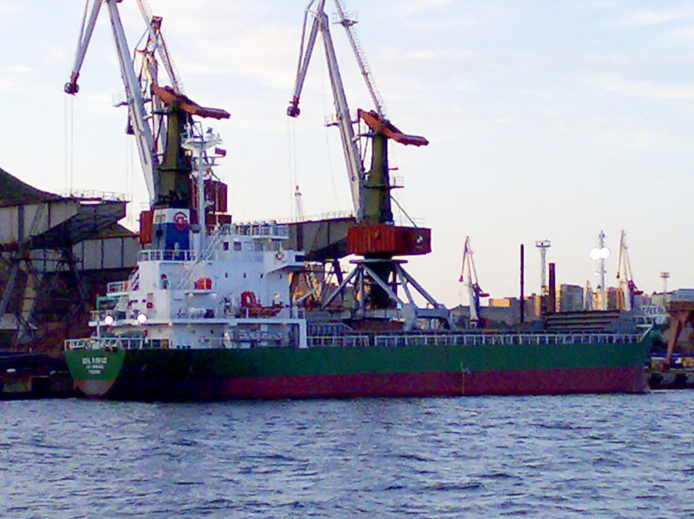 SDL Rokko