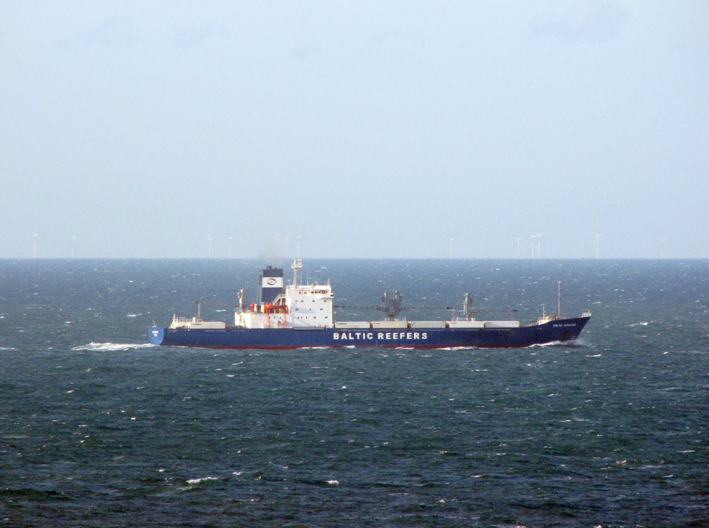 Baltic Novator