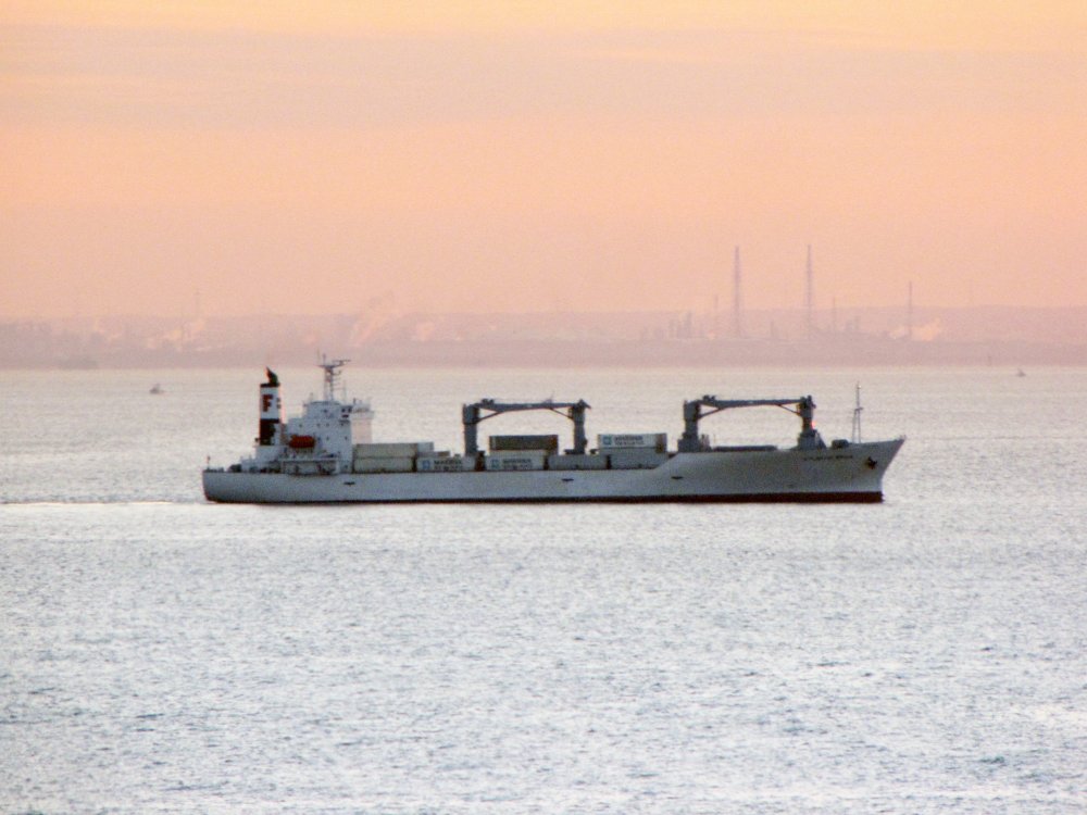 Atlantic Erica