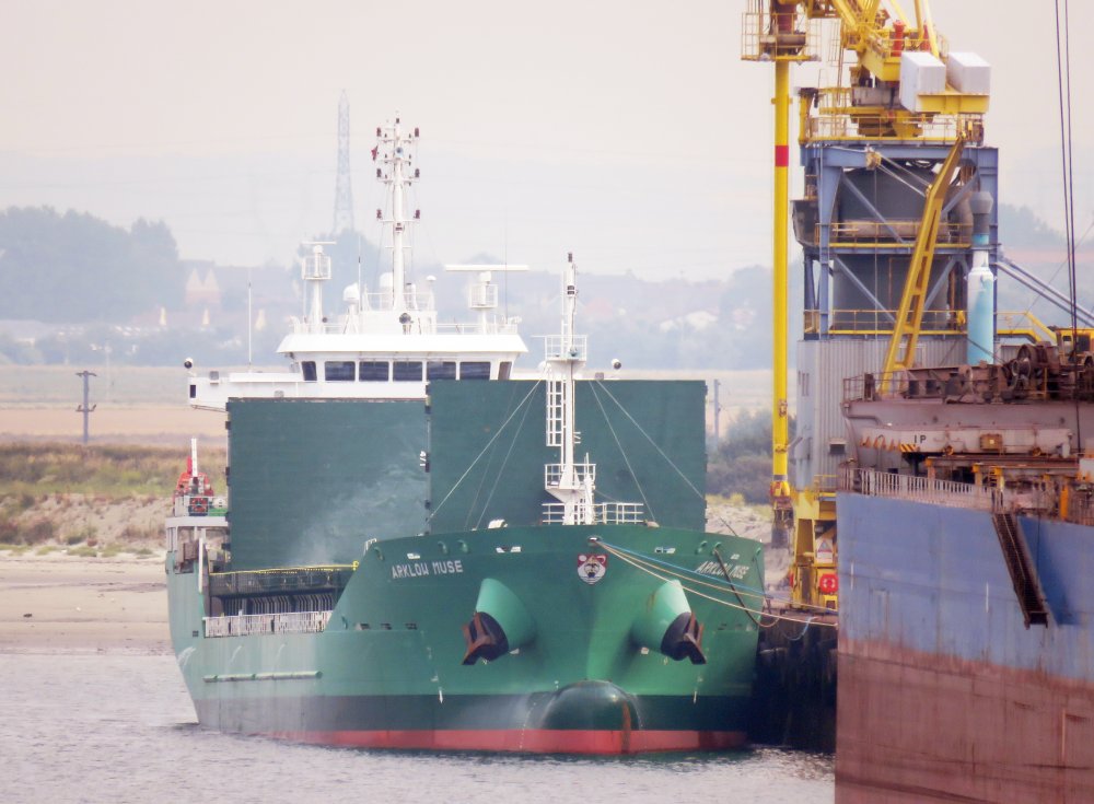 Arklow Muse