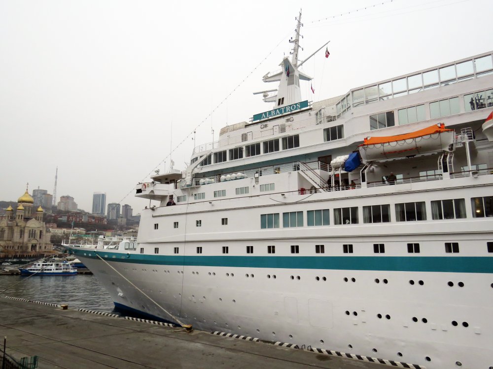 Albatros