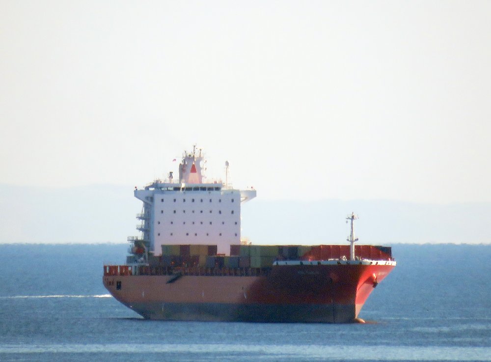 MSC Yang R