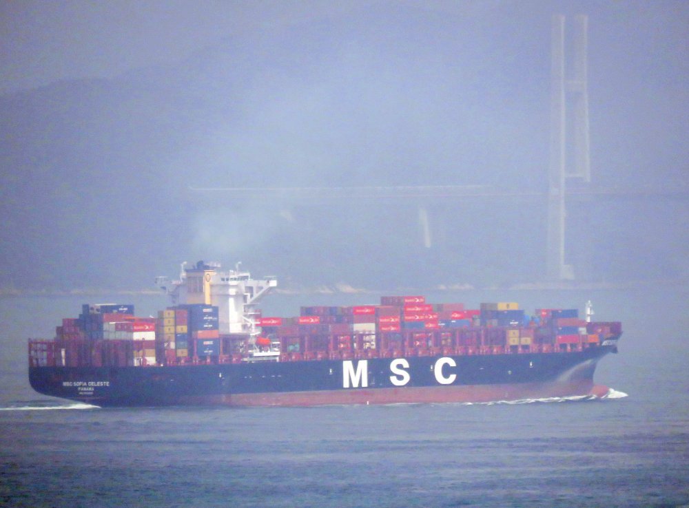 MSC Sofia Celeste