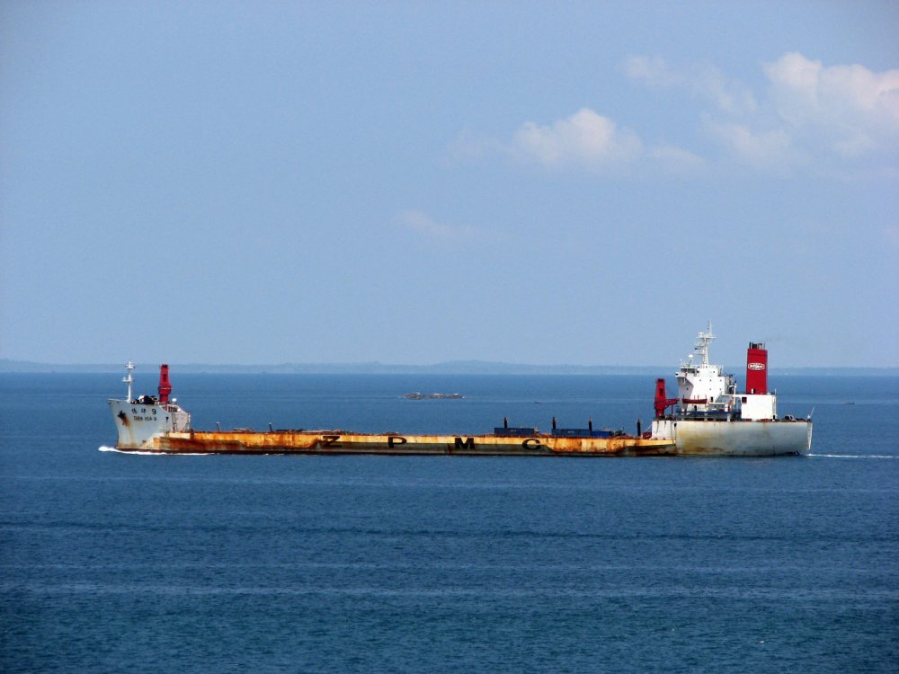 Zhen Hua 9